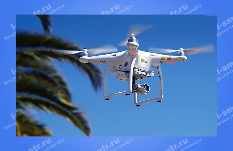 Белый квадрокоптер DJI Phantom 3 в полёте рядом с пальмой