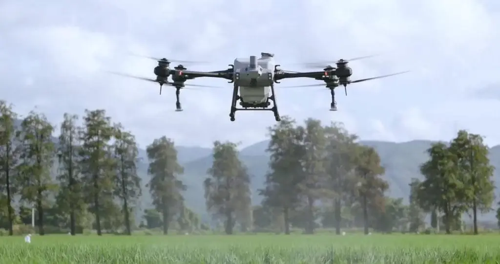 Опрыскиватель-дрон DJI над лесопосадкой